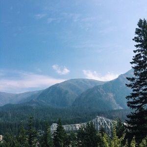 Meet your Posher, Carey